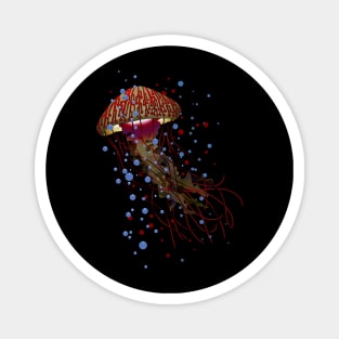 jelly FISH Magnet